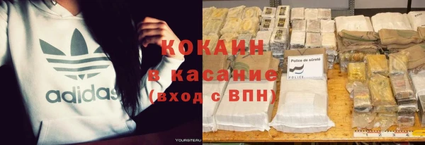 гидра Аркадак