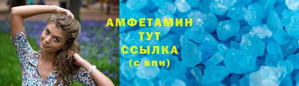 гидра Аркадак