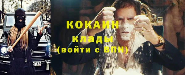 гидра Аркадак