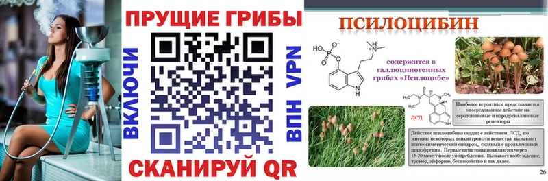 kraken ссылки  Унеча  Псилоцибиновые грибы Magic Shrooms  закладки 
